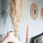 Hinterhaus アパート ベースコウ