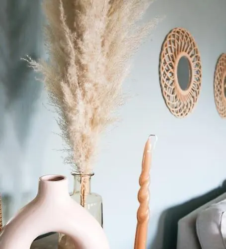 Hinterhaus شقة بيسكو